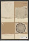 Aulacodiscus affinis Grun. (de-Toni-Nr.: Genus 182, Species 4532) Zeichnungen Sammlung Grunow Nr. 8123 (NHMW-BOT-W0377474)